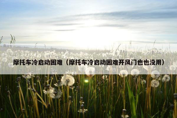 摩托车冷启动困难（摩托车冷启动困难开风门也也没用）