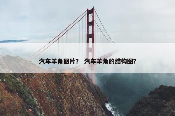 汽车羊角图片？ 汽车羊角的结构图？