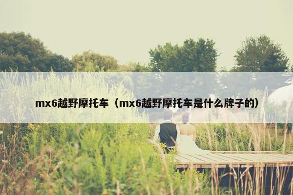 mx6越野摩托车（mx6越野摩托车是什么牌子的）