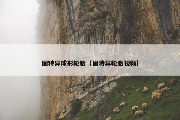 固特异球形轮胎（固特异轮胎视频）