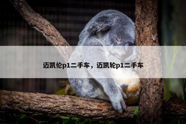 迈凯伦p1二手车，迈凯轮p1二手车