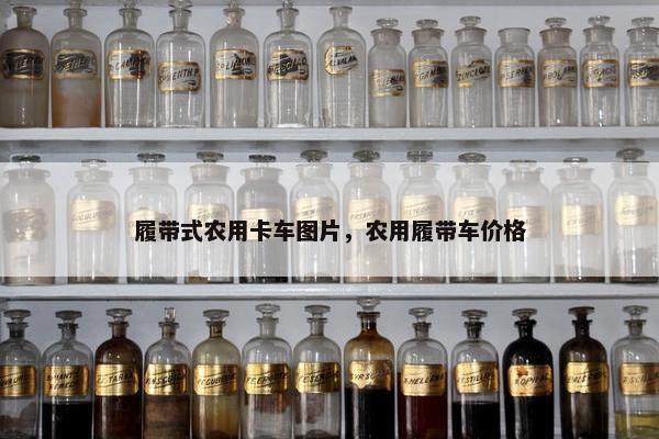 履带式农用卡车图片，农用履带车价格