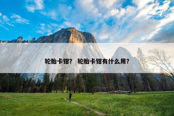 轮胎卡钳？ 轮胎卡钳有什么用？