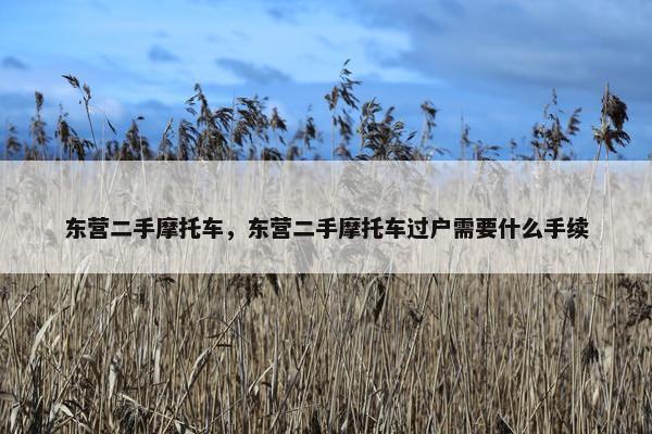 东营二手摩托车，东营二手摩托车过户需要什么手续