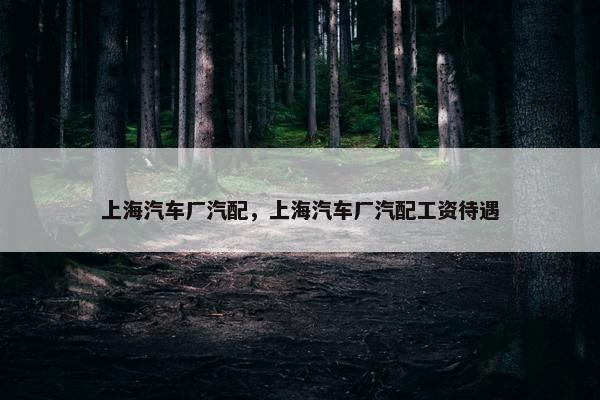 上海汽车厂汽配，上海汽车厂汽配工资待遇