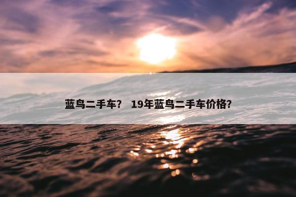 蓝鸟二手车？ 19年蓝鸟二手车价格？