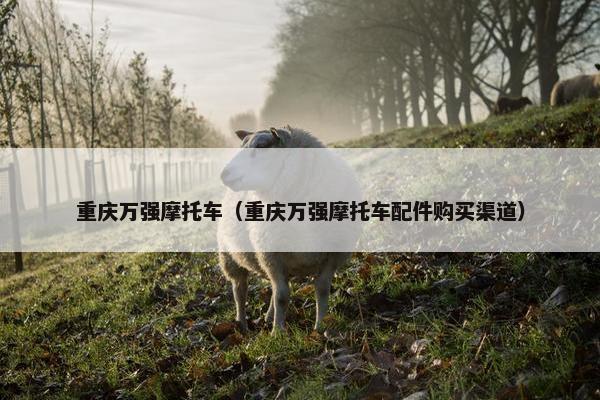 重庆万强摩托车（重庆万强摩托车配件购买渠道）