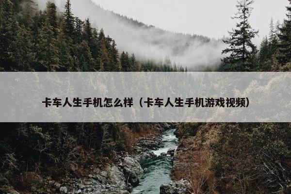 卡车人生手机怎么样（卡车人生手机游戏视频）