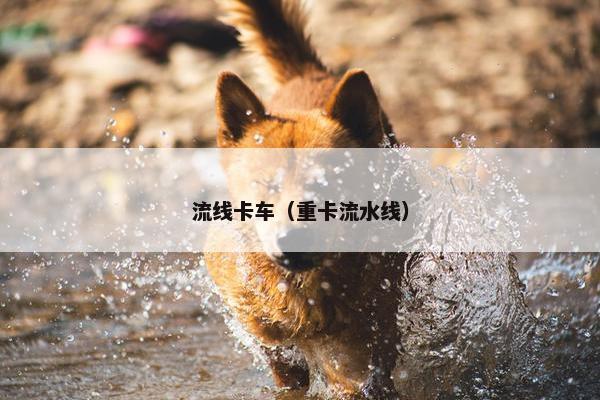 流线卡车（重卡流水线）
