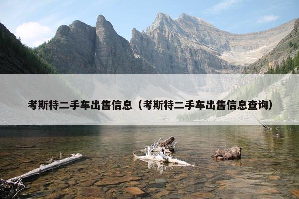 考斯特二手车出售信息（考斯特二手车出售信息查询）