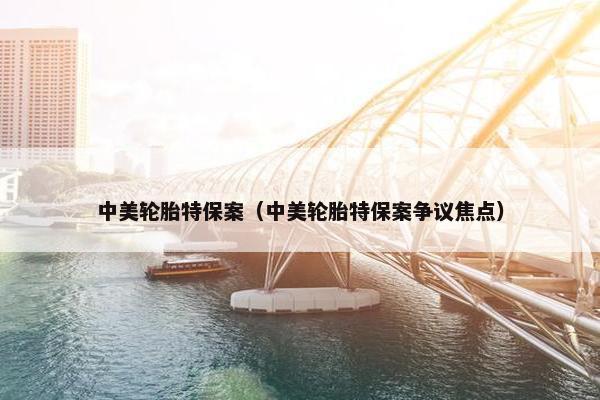 中美轮胎特保案（中美轮胎特保案争议焦点）