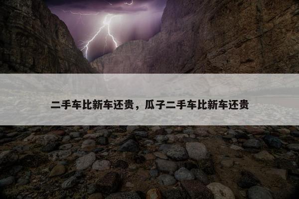 二手车比新车还贵，瓜子二手车比新车还贵