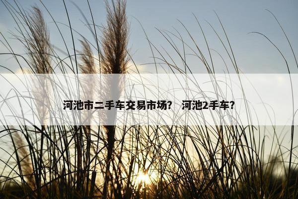 河池市二手车交易市场？ 河池2手车？