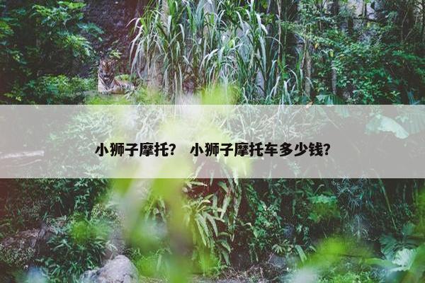 小狮子摩托？ 小狮子摩托车多少钱？