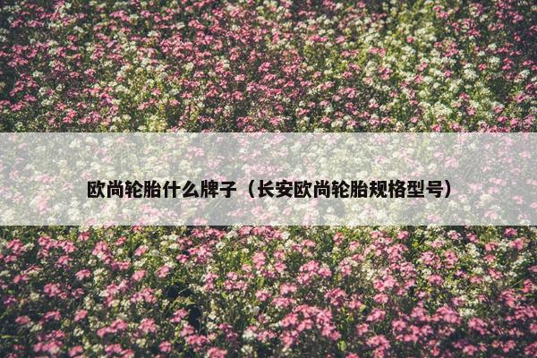 欧尚轮胎什么牌子（长安欧尚轮胎规格型号）