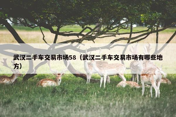 武汉二手车交易市场58（武汉二手车交易市场有哪些地方）