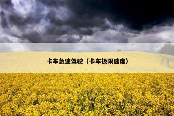 卡车急速驾驶（卡车极限速度）