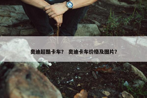 奥迪超酷卡车？ 奥迪卡车价格及图片？