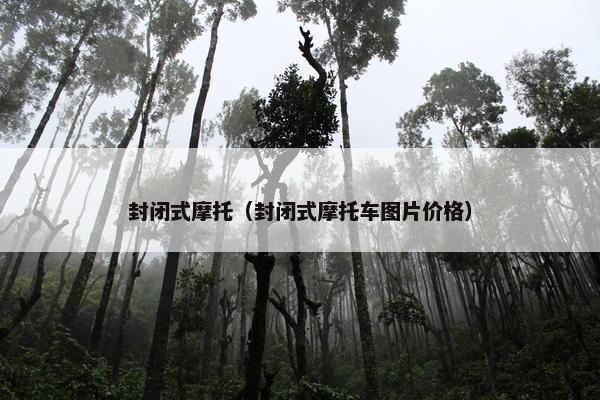封闭式摩托（封闭式摩托车图片价格）