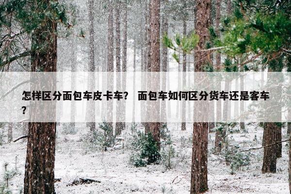 怎样区分面包车皮卡车？ 面包车如何区分货车还是客车？