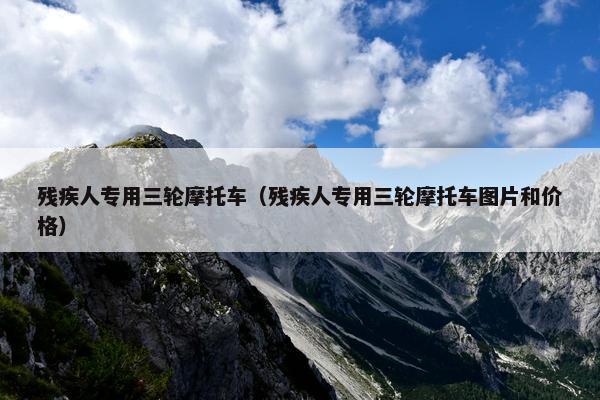 残疾人专用三轮摩托车（残疾人专用三轮摩托车图片和价格）