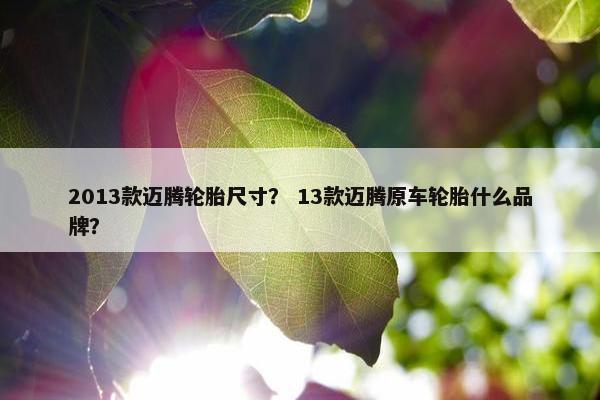 2013款迈腾轮胎尺寸？ 13款迈腾原车轮胎什么品牌？