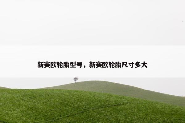 新赛欧轮胎型号，新赛欧轮胎尺寸多大