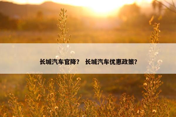 长城汽车官降？ 长城汽车优惠政策？