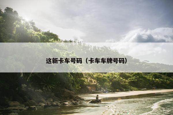 这新卡车号码（卡车车牌号码）