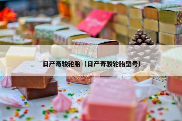 日产奇骏轮胎（日产奇骏轮胎型号）