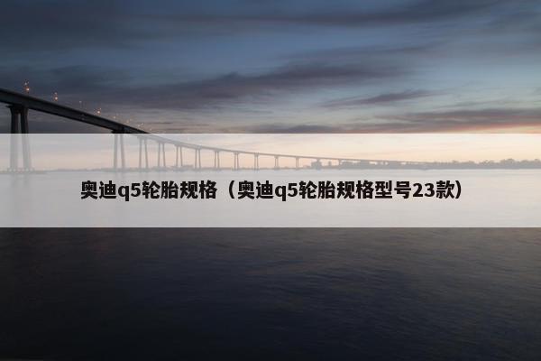 奥迪q5轮胎规格（奥迪q5轮胎规格型号23款）