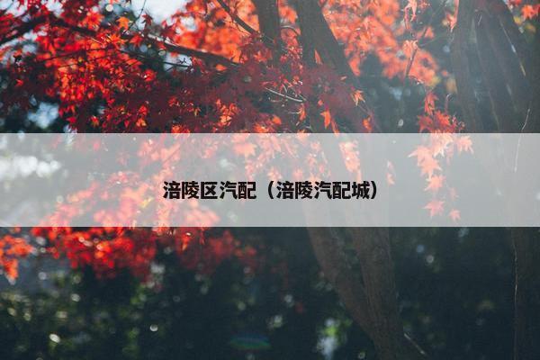 涪陵区汽配（涪陵汽配城）