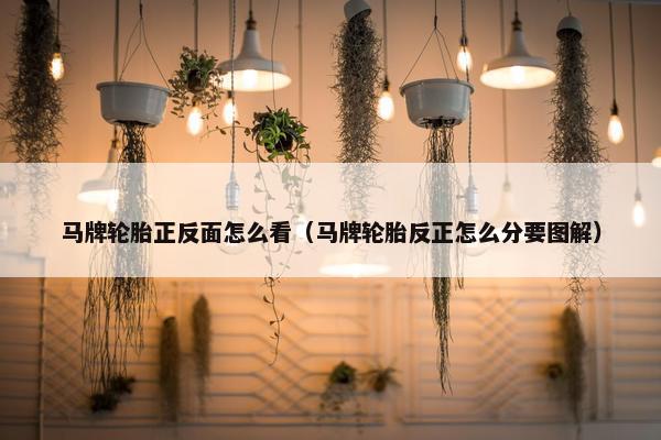 马牌轮胎正反面怎么看（马牌轮胎反正怎么分要图解）
