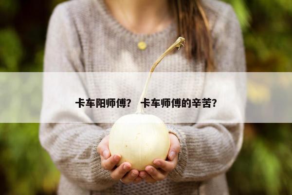 卡车阳师傅？ 卡车师傅的辛苦？