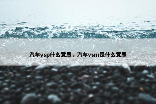 汽车vsp什么意思，汽车vsm是什么意思