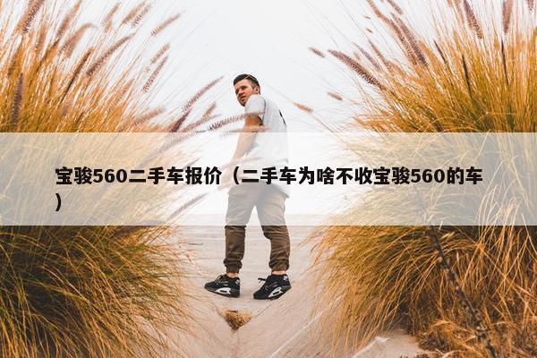 宝骏560二手车报价（二手车为啥不收宝骏560的车）