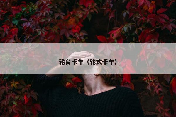 轮台卡车（轮式卡车）