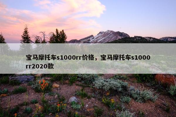 宝马摩托车s1000rr价格，宝马摩托车s1000rr2020款