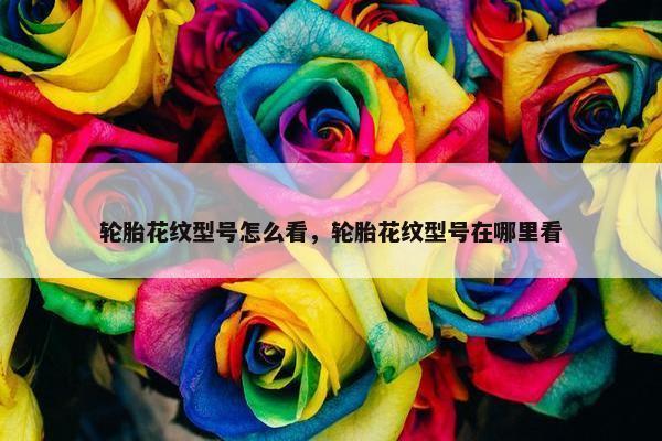 轮胎花纹型号怎么看，轮胎花纹型号在哪里看