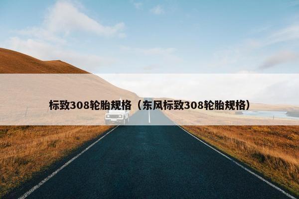 标致308轮胎规格（东风标致308轮胎规格）