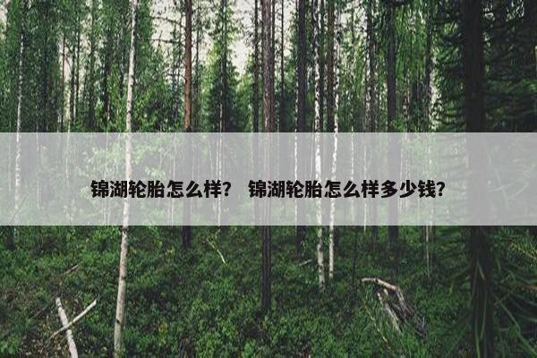 锦湖轮胎怎么样？ 锦湖轮胎怎么样多少钱？