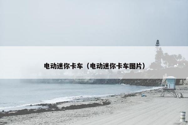 电动迷你卡车（电动迷你卡车图片）