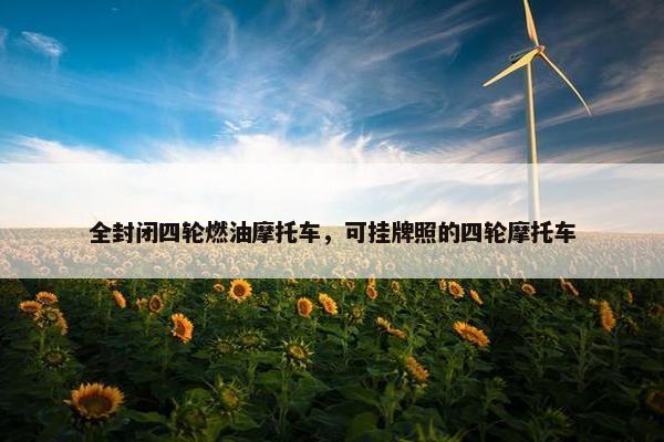全封闭四轮燃油摩托车，可挂牌照的四轮摩托车