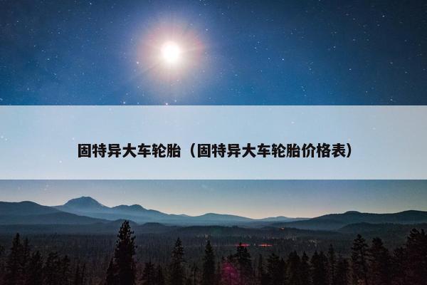固特异大车轮胎（固特异大车轮胎价格表）