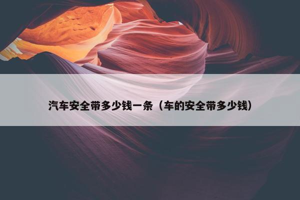 汽车安全带多少钱一条（车的安全带多少钱）