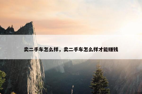 卖二手车怎么样，卖二手车怎么样才能赚钱