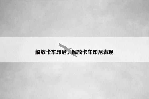解放卡车印尼，解放卡车印尼表现