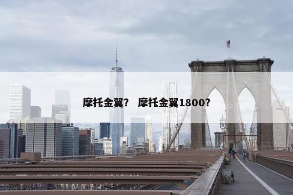 摩托金翼？ 摩托金翼1800？