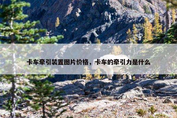 卡车牵引装置图片价格，卡车的牵引力是什么