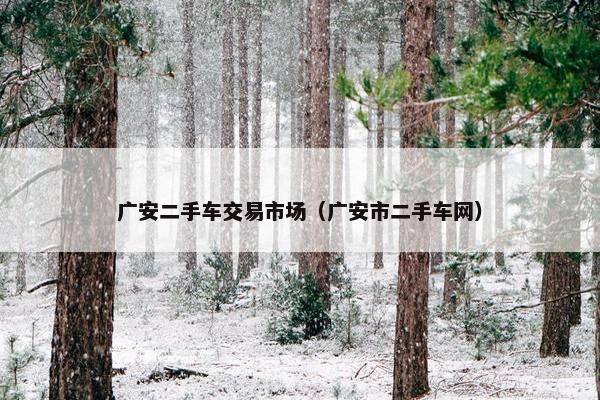 广安二手车交易市场（广安市二手车网）